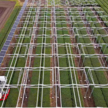 Baterai Lifepo4 Menyalakan Yang Perlu Anda Ketahui