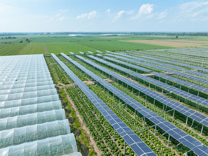 أفضل 5 أنظمة طاقة شمسية بقدرة 10 كيلو وات بأسعار معقولة لعام 2025