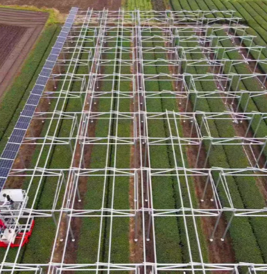 Untuk Apa Pembangkit Listrik Tenaga Surya Digunakan